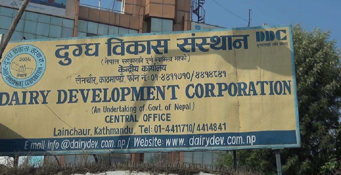 डिडिसीले काठमाडौंमा ३० नयाँ बिक्री केन्द्र खोल्ने, अनलाइन बिक्री पनि सुरु गर्ने तयारी