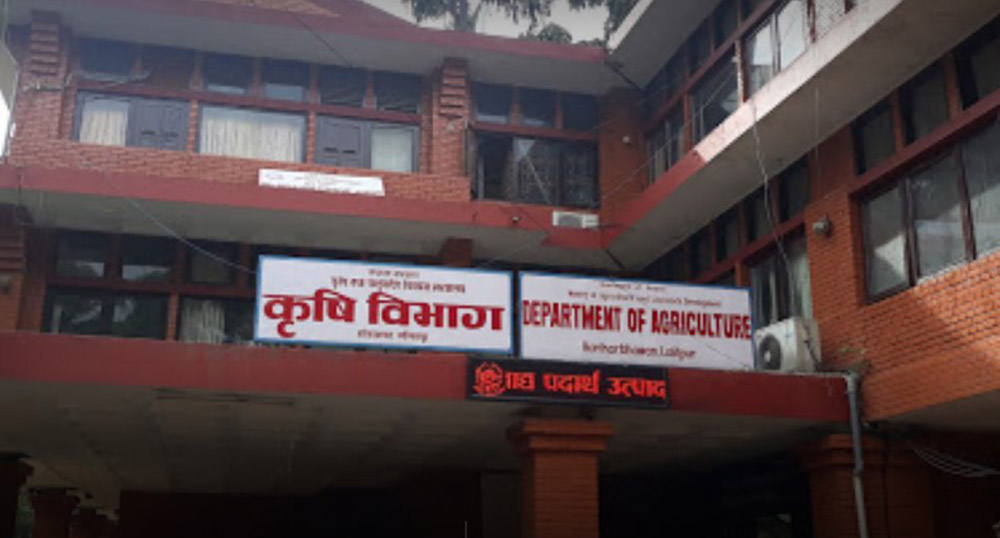 ५८ स्थानीय तहमा बीउ उत्पादन कार्यक्रम सञ्चालन