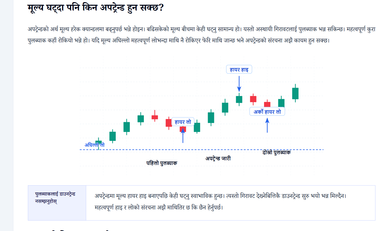 Screenshot 2026 08 23 184348 शेयर बजारमा लगानी गर्नुअघि सिक्न चाहनेका लागि नेप्से बजारको ‘लगानी शिक्षा’